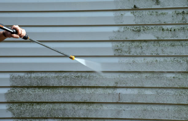 Mold Removal Process in Pojoaque, NM