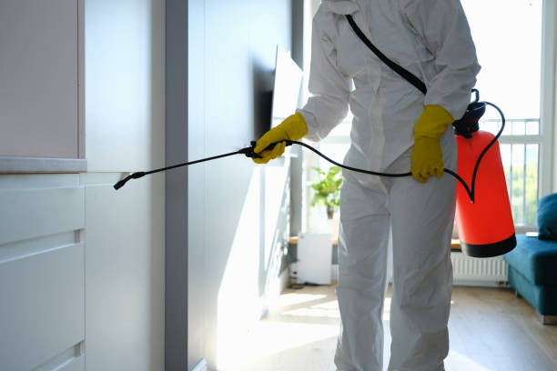 Best Residential Mold Removal  in Pojoaque, NM